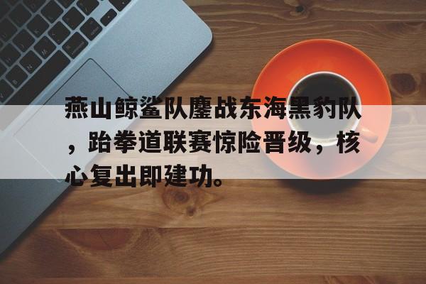 kaiyun平台官方网站燕山鲸鲨队鏖战东海黑豹队，跆拳道联赛惊险晋级，核心复出即建功。(海豹突击队2正片)